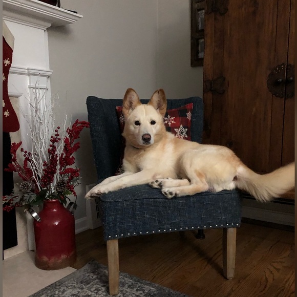 Meet your Posher, Cheryl - Picture 4 of 4